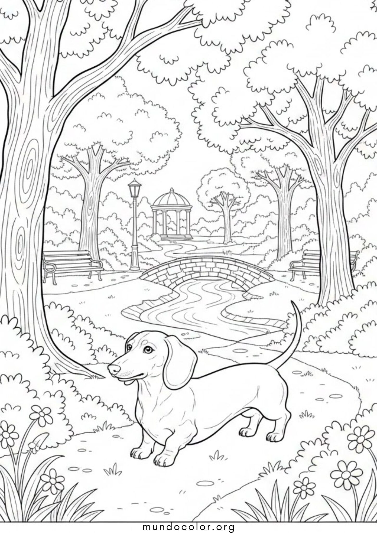 Dibujo de Perro salchicha para colorear