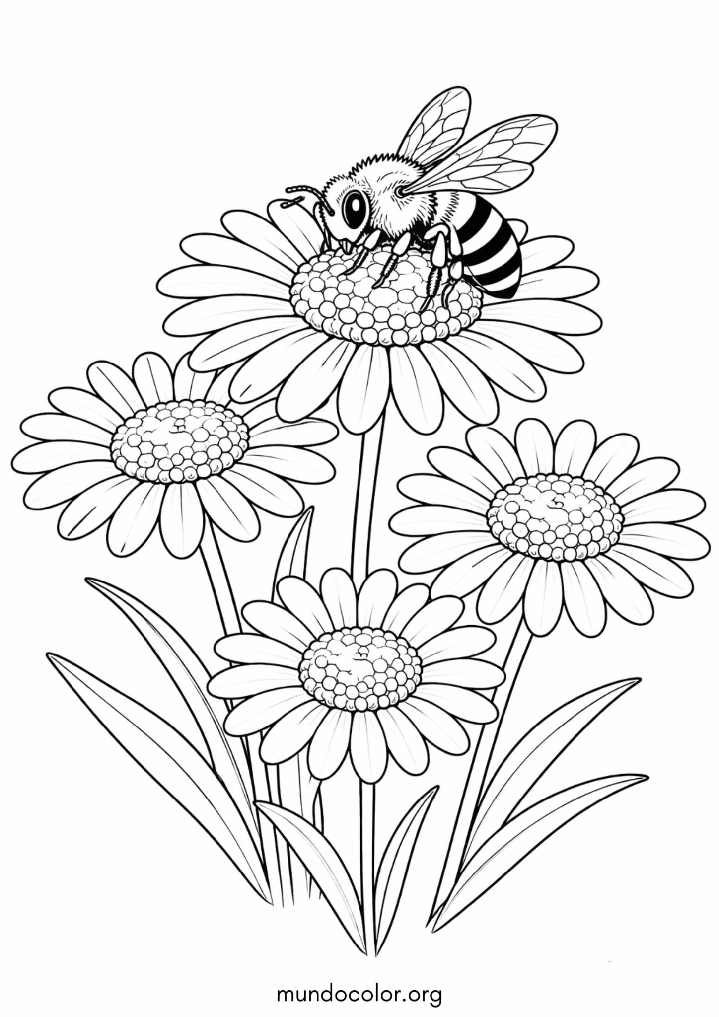Dibujo de Primavera – Abeja и flor para colorear