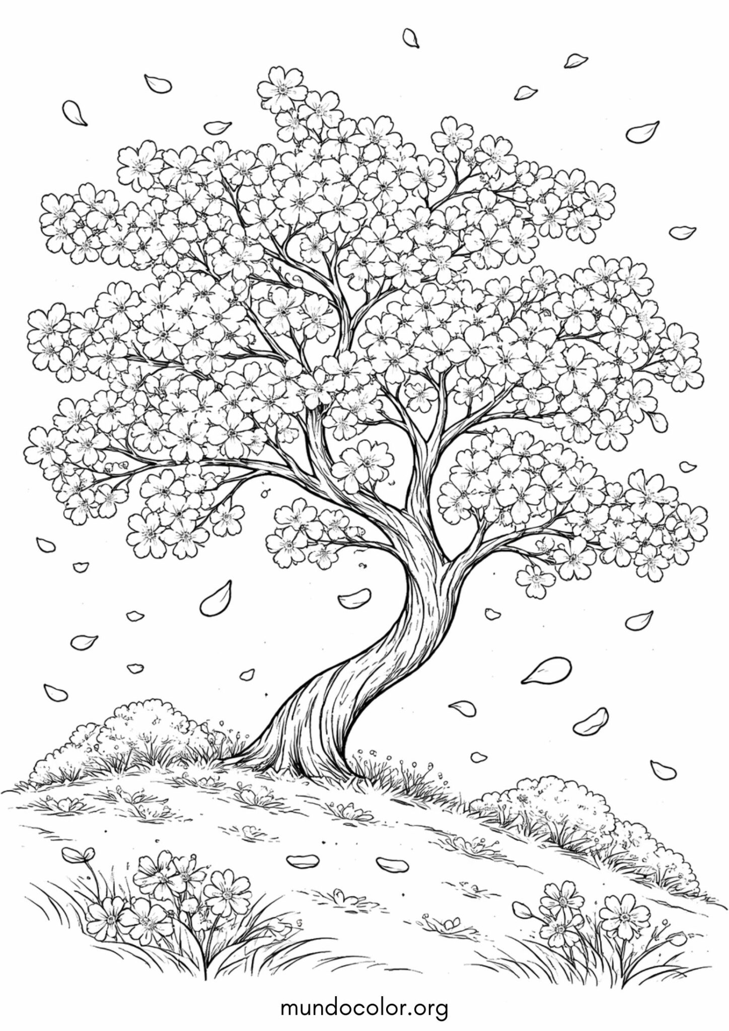 Dibujo de Primavera – Cerezo en flor para colorear