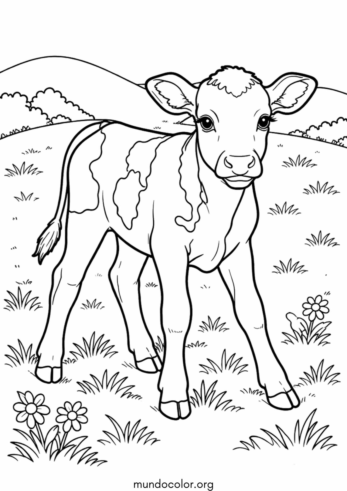 Dibujo de Ternero para colorear