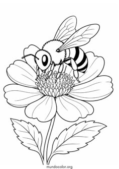 Abeja en una flor