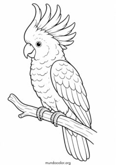 Cacatúa