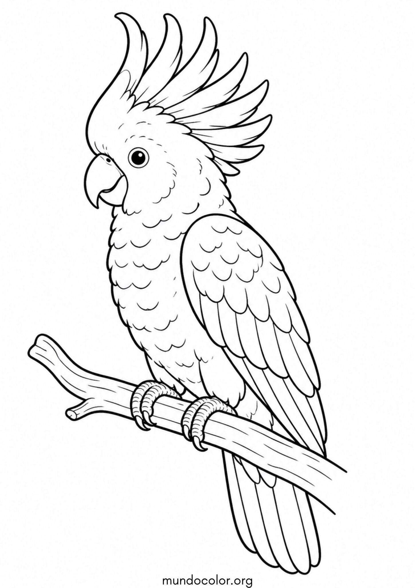 Dibujo de Cacatúa para colorear