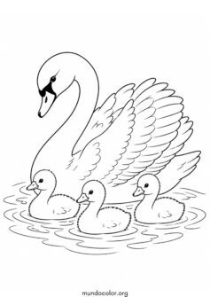 Cisne con sus crías