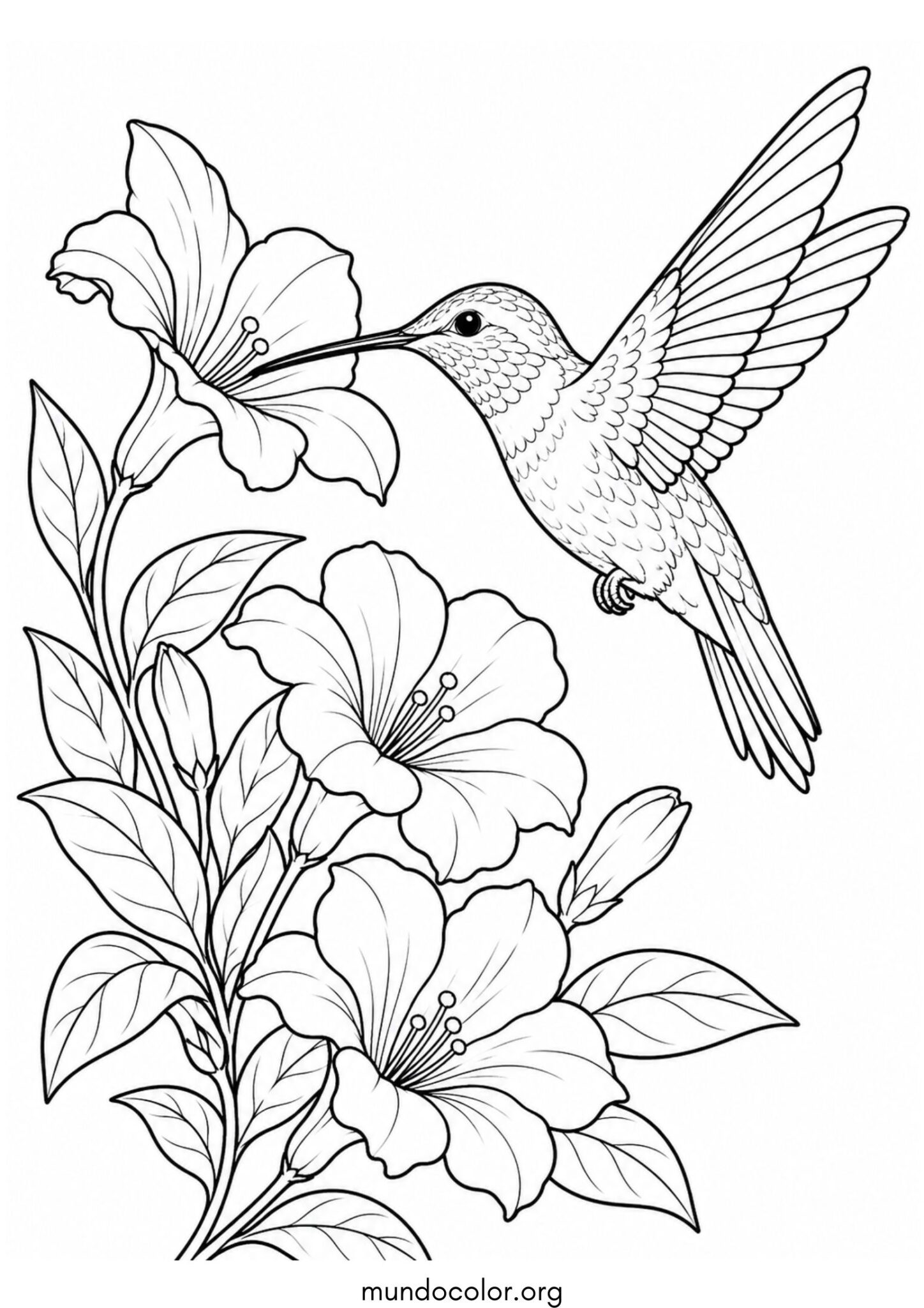 Dibujo de Colibrí con flores para colorear