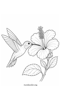 Colibrí y flor