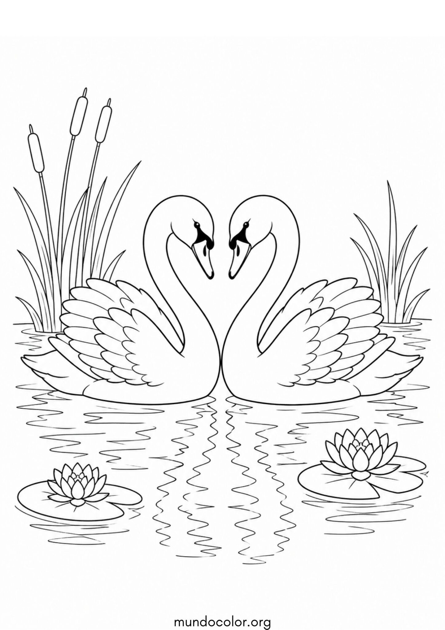 Dibujo de Dos cisnes en el lago para colorear