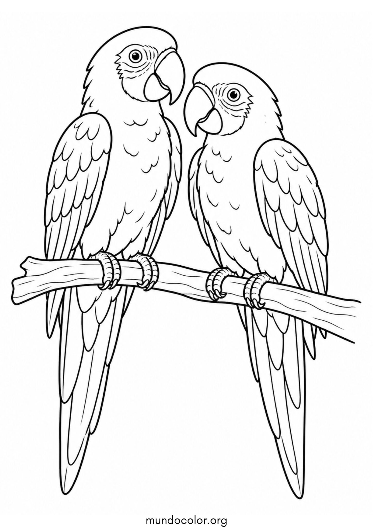 Dibujo de Dos loros para colorear