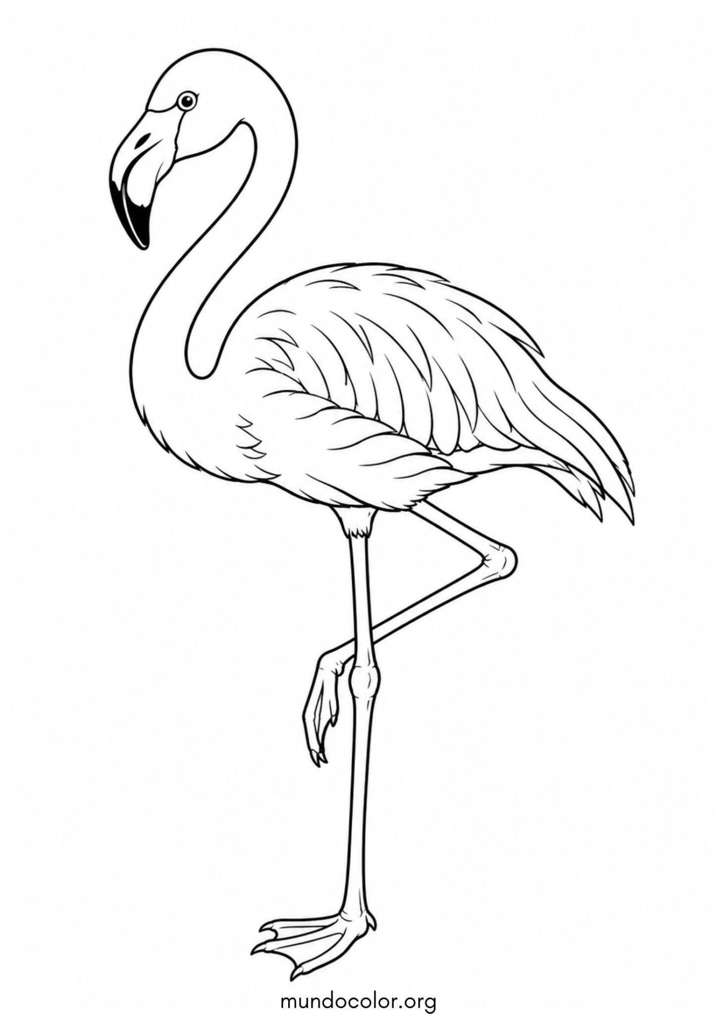 Dibujo de Flamenco para colorear