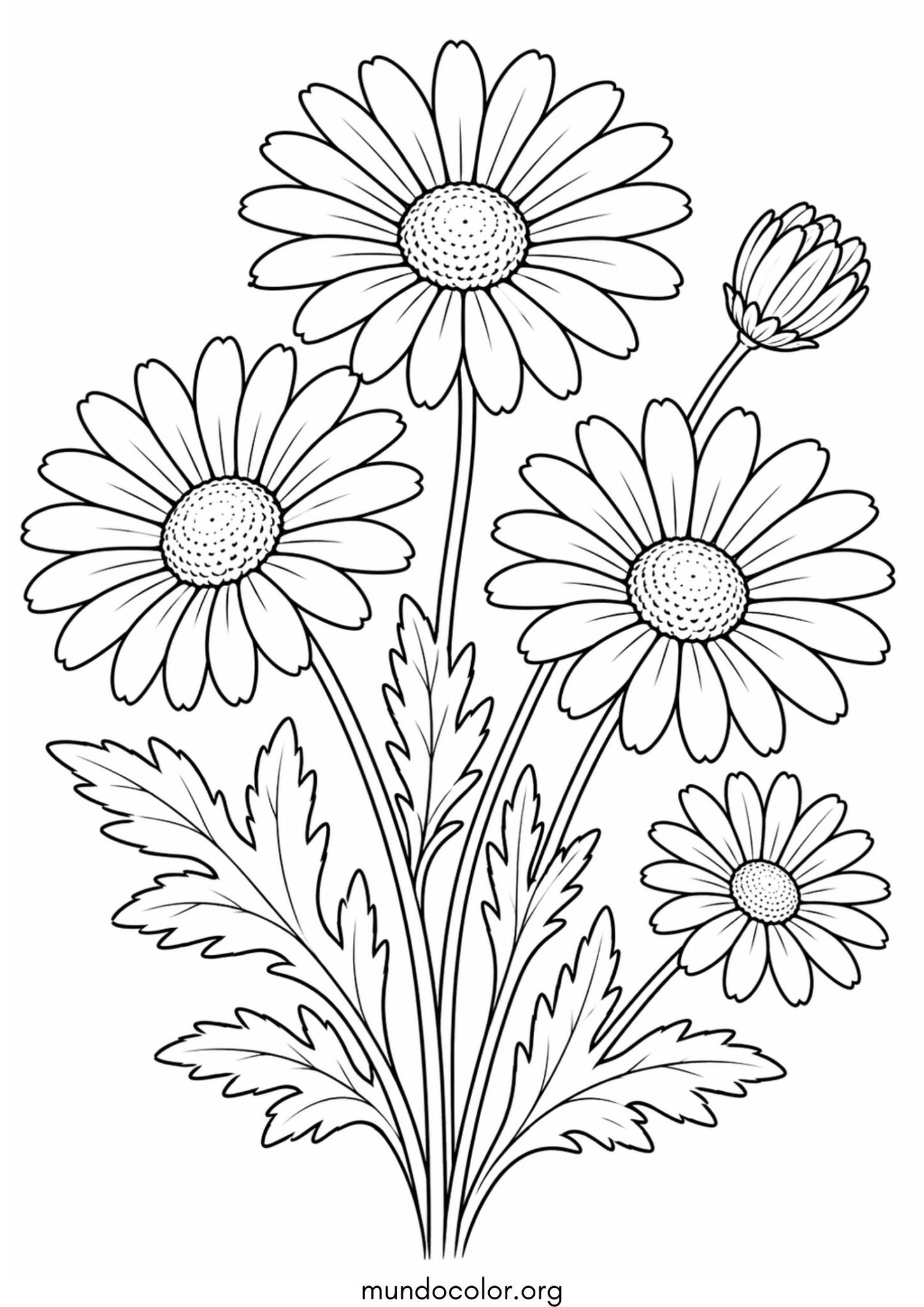 Dibujo de Flores de margaritas para colorear