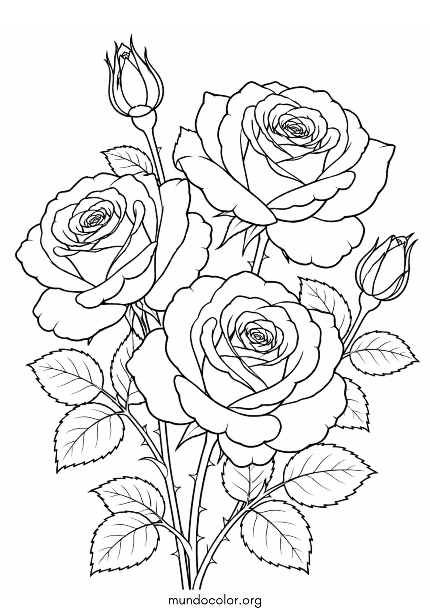 Dibujo de Flores de rosas para colorear