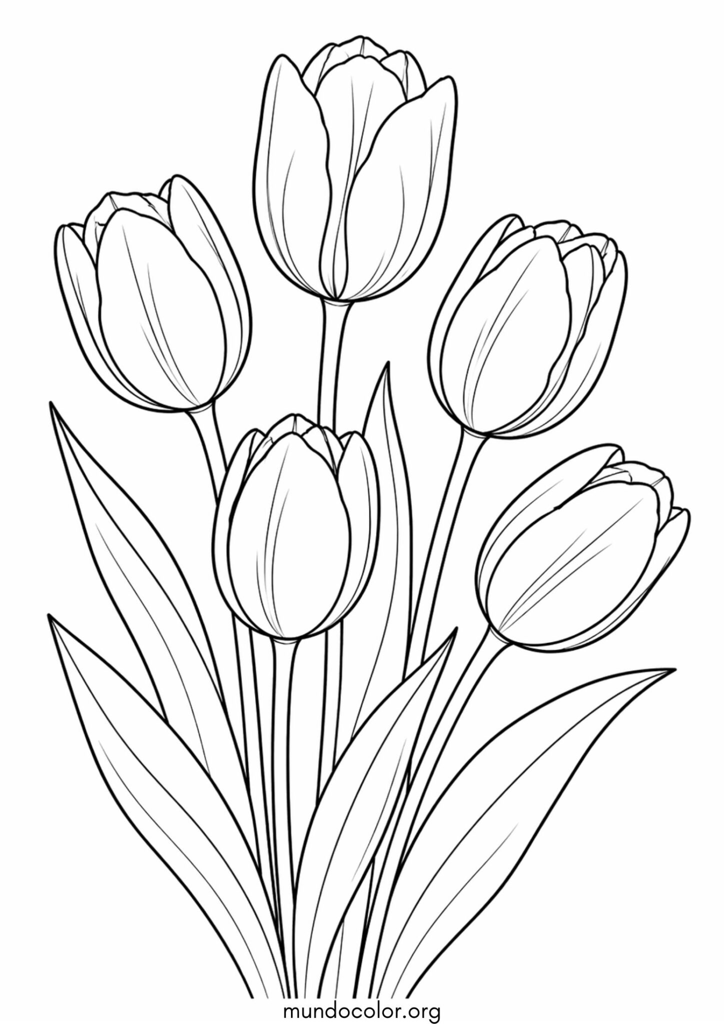 Dibujo de Flores de tulipanes para colorear