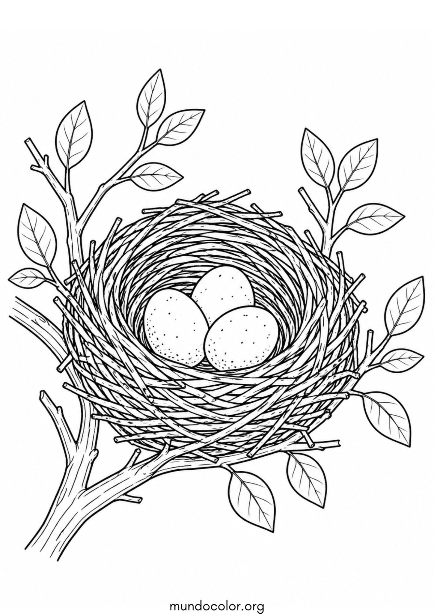 Dibujo de Nido de pájaros para colorear