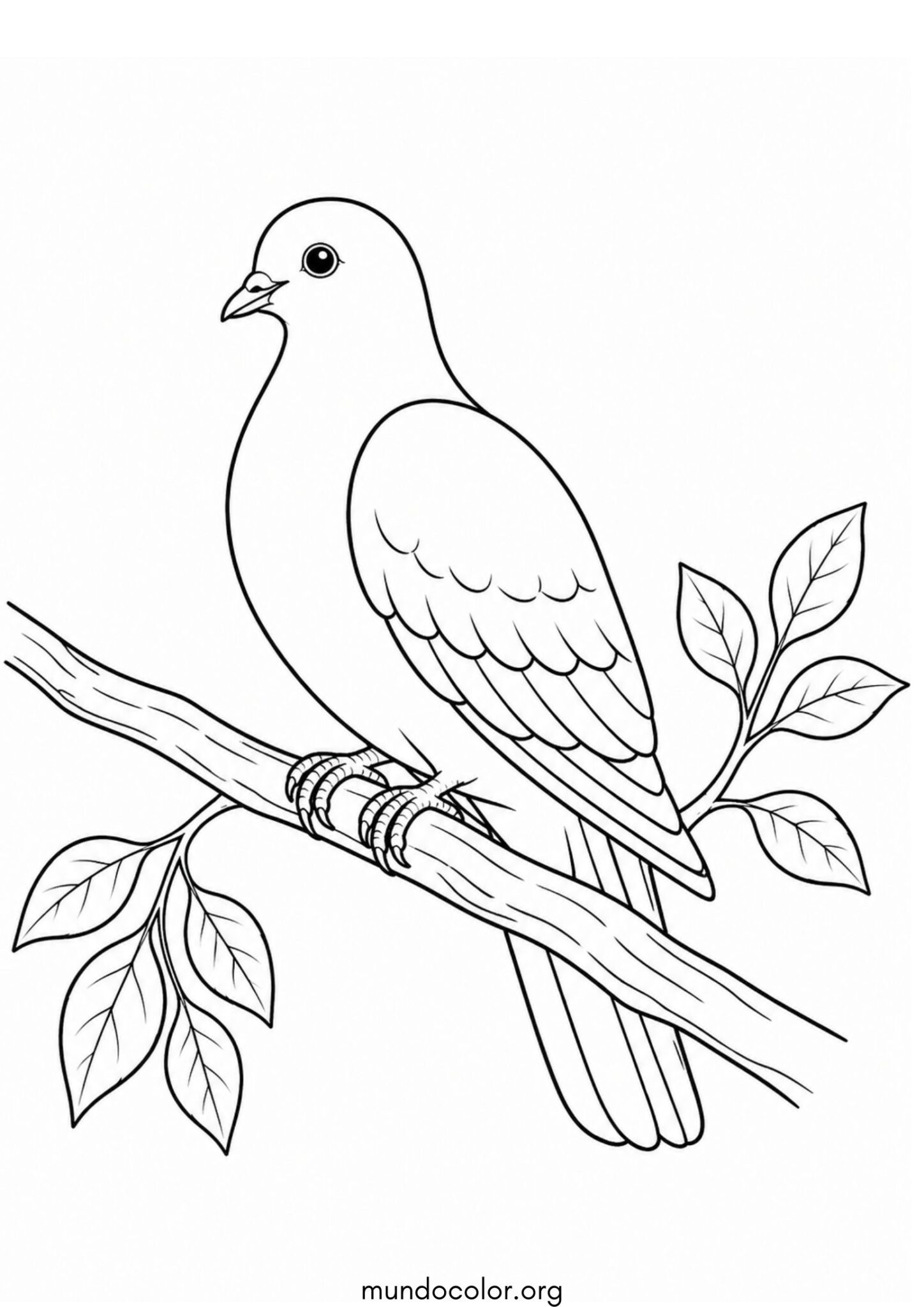 Dibujo de Paloma en la rama para colorear