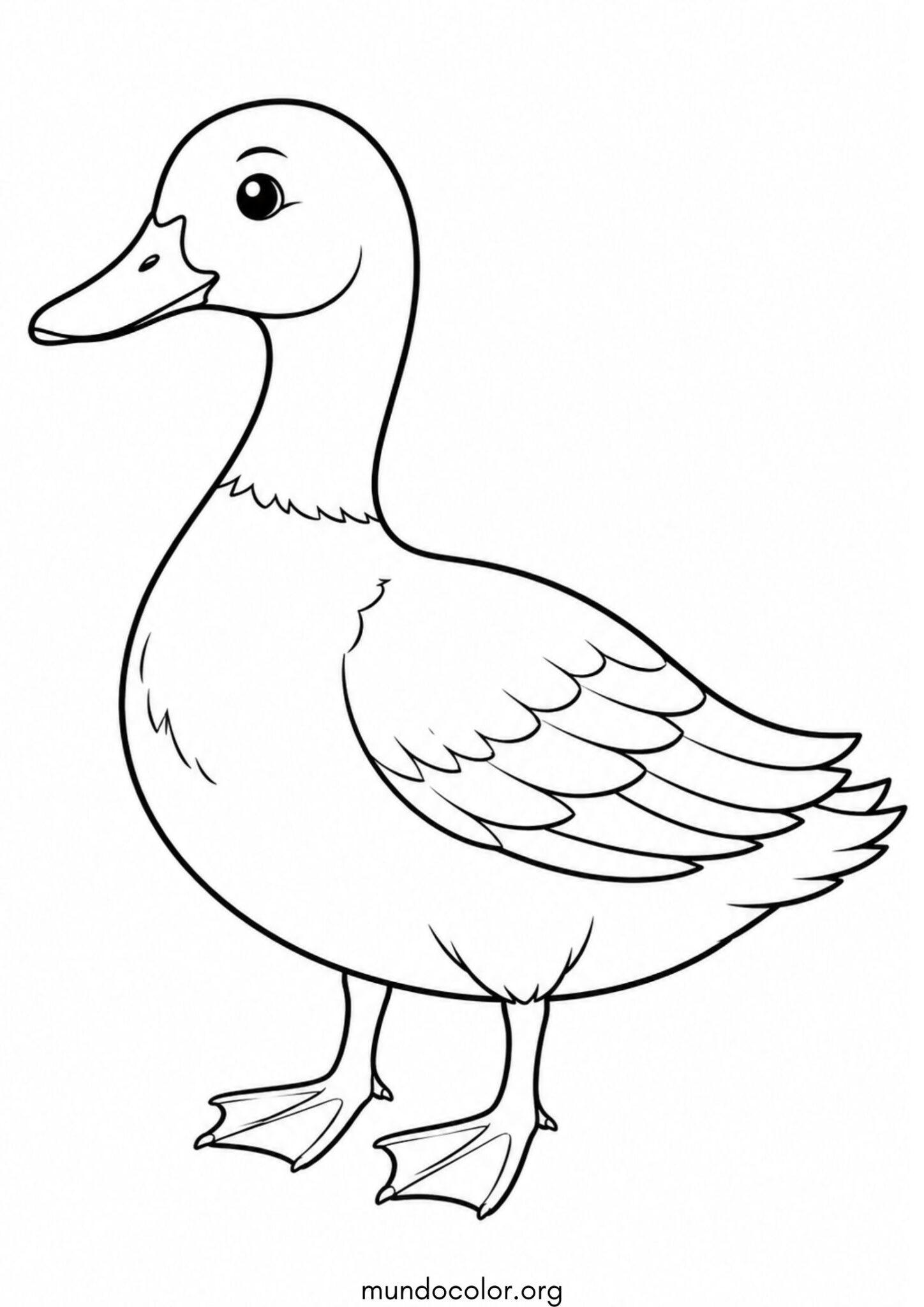 Dibujo de Pato para colorear