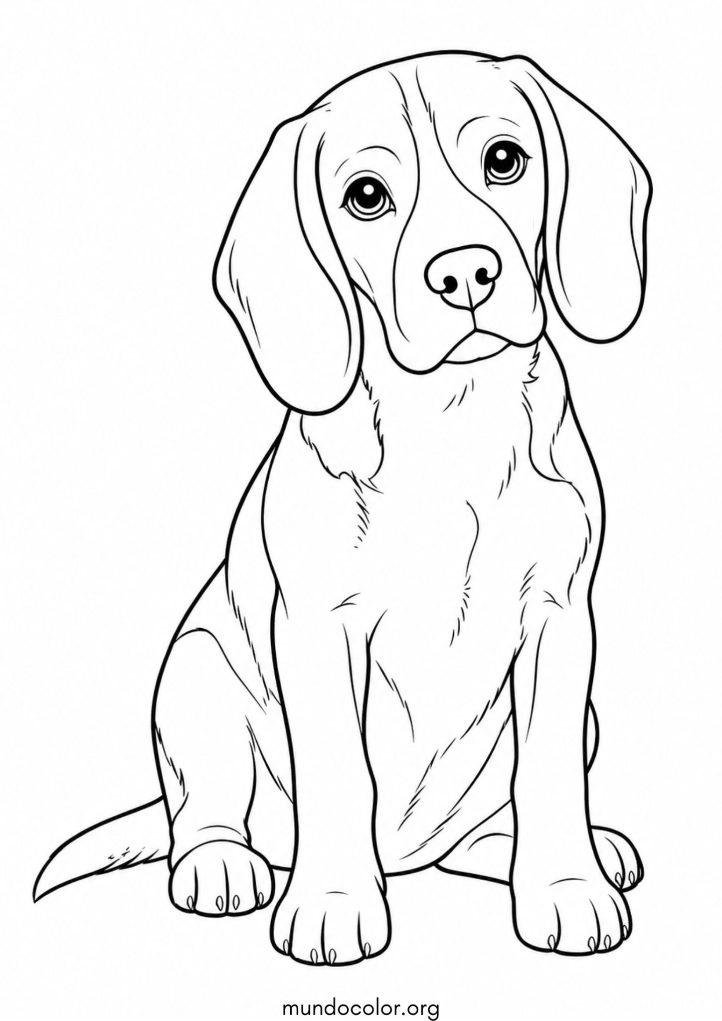 Dibujo de Perro Beagle para colorear
