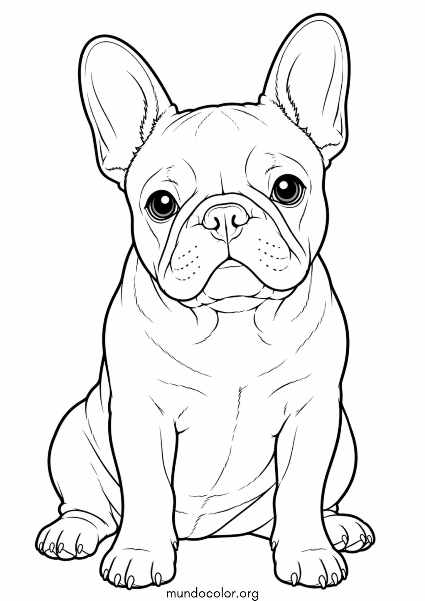 Dibujo de Perro Bulldog Francés para colorear