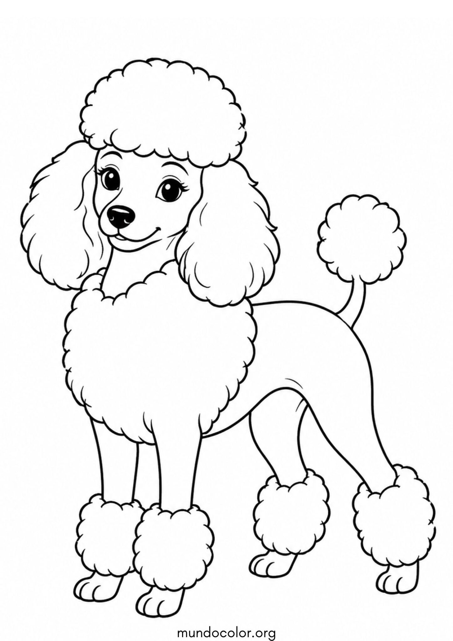 Dibujo de Perro Caniche (Poodle) para colorear