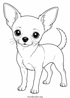 Perro Chihuahua
