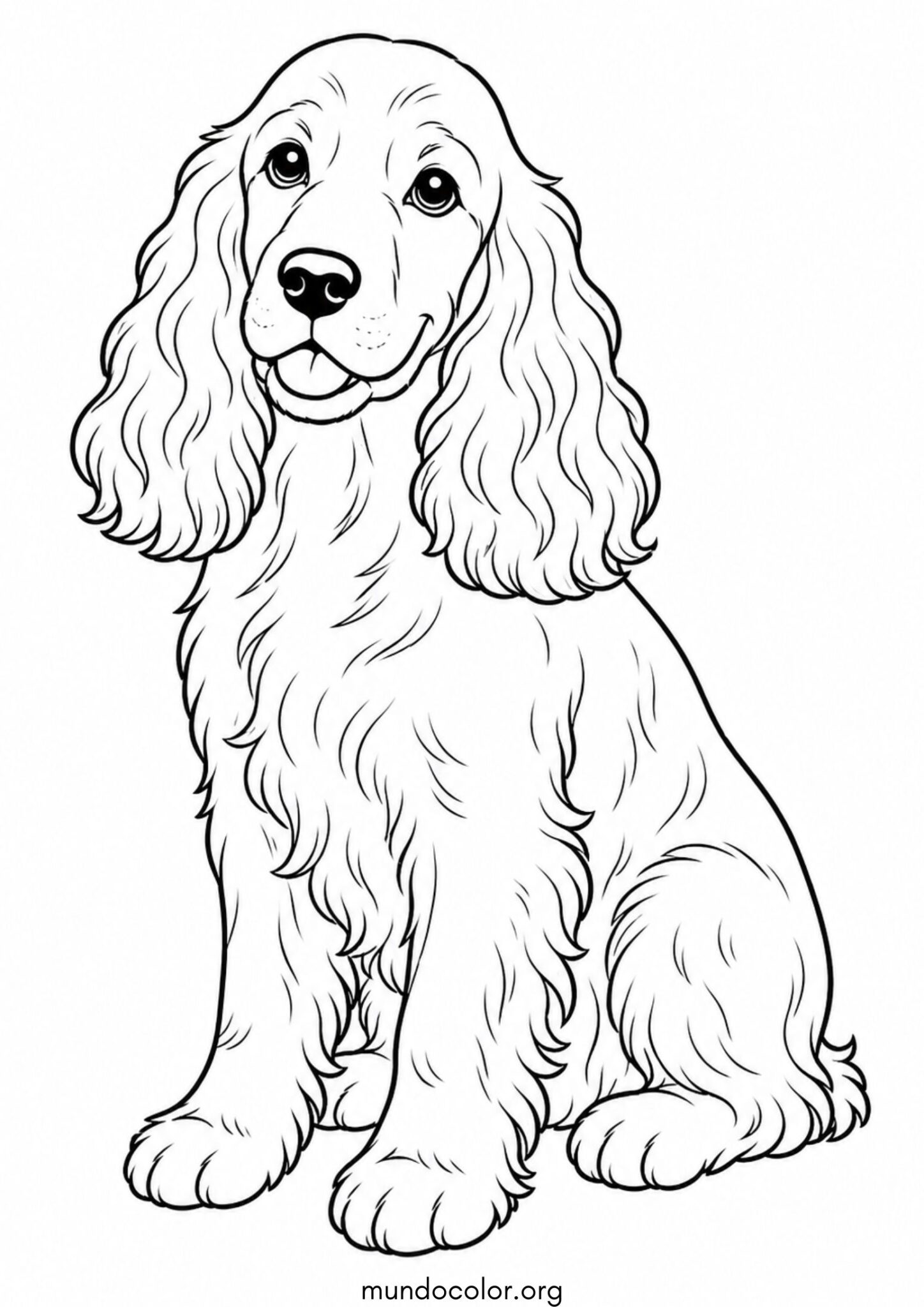 Dibujo de Perro Cocker Spaniel para colorear