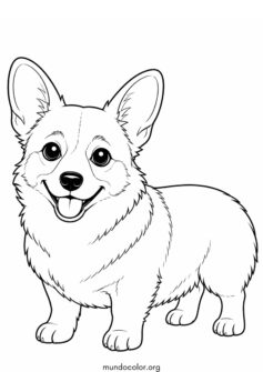 Perro Corgi