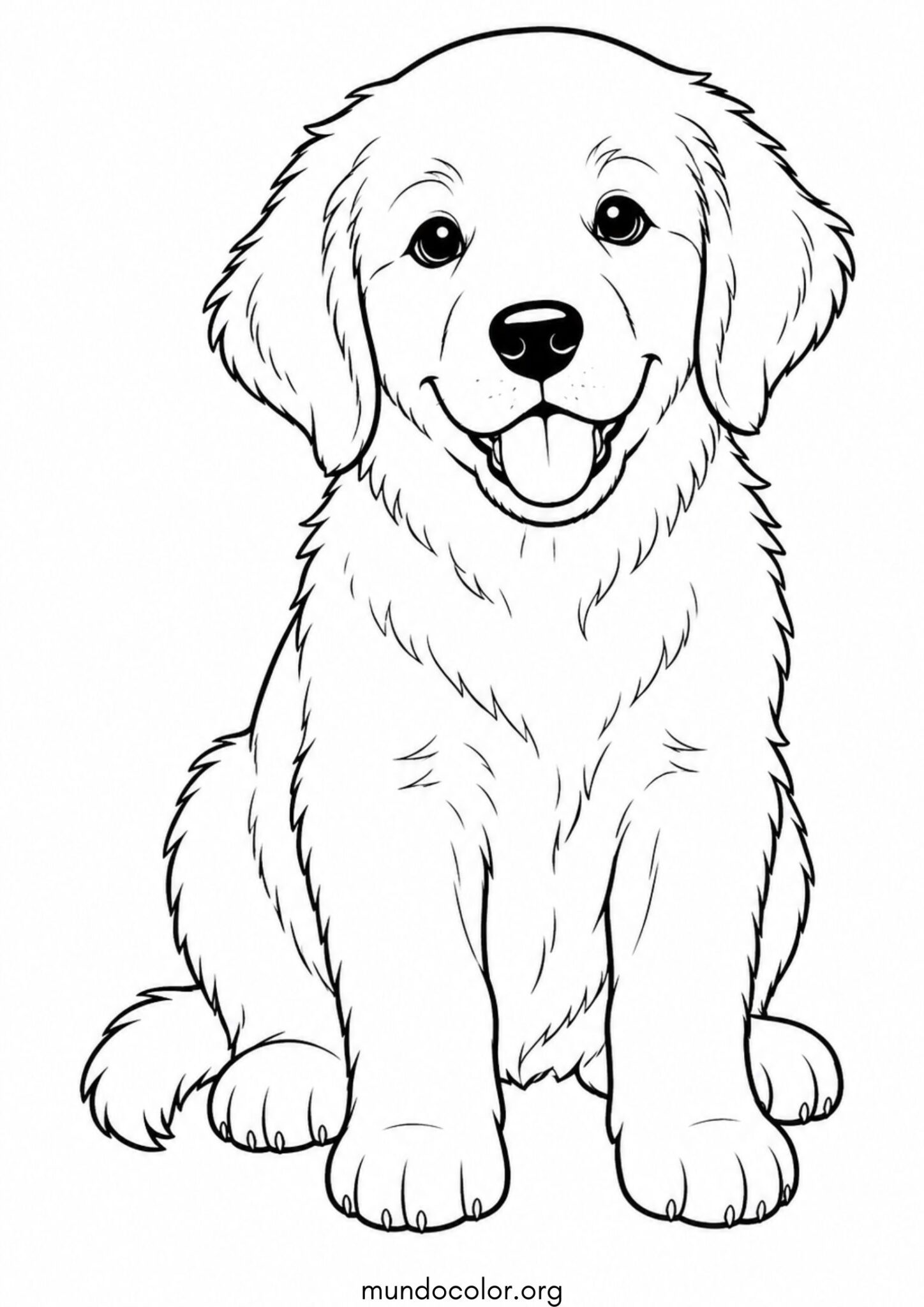 Dibujo de Perro Golden Retriever cachorrito para colorear