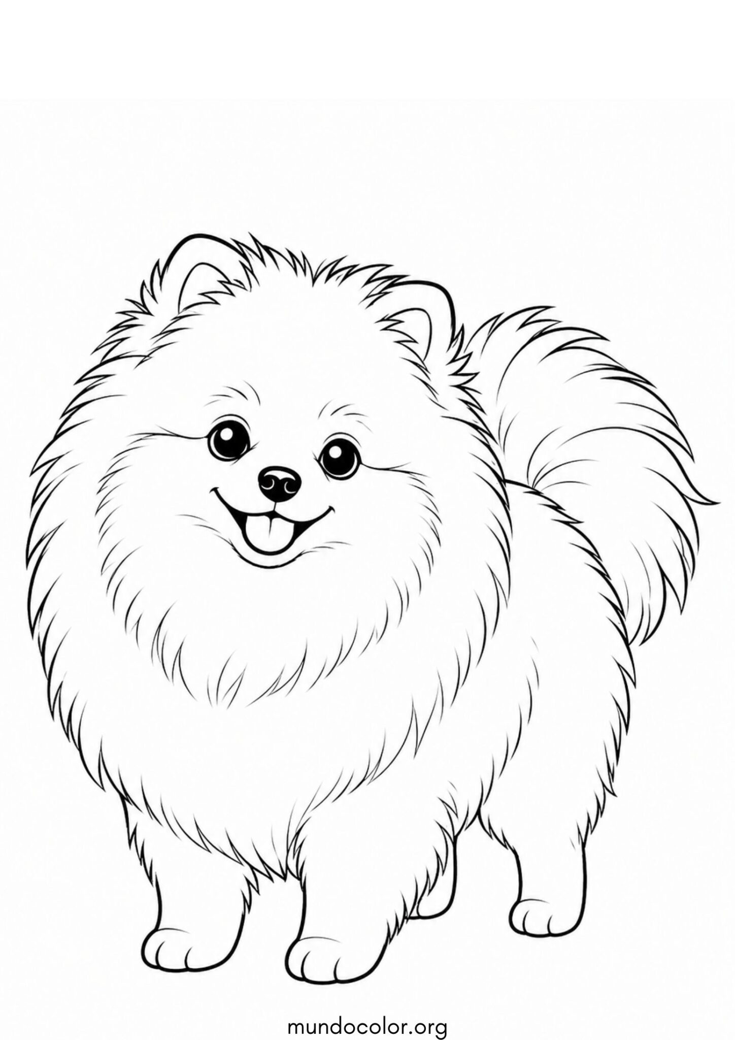 Dibujo de Perro Pomerania para colorear