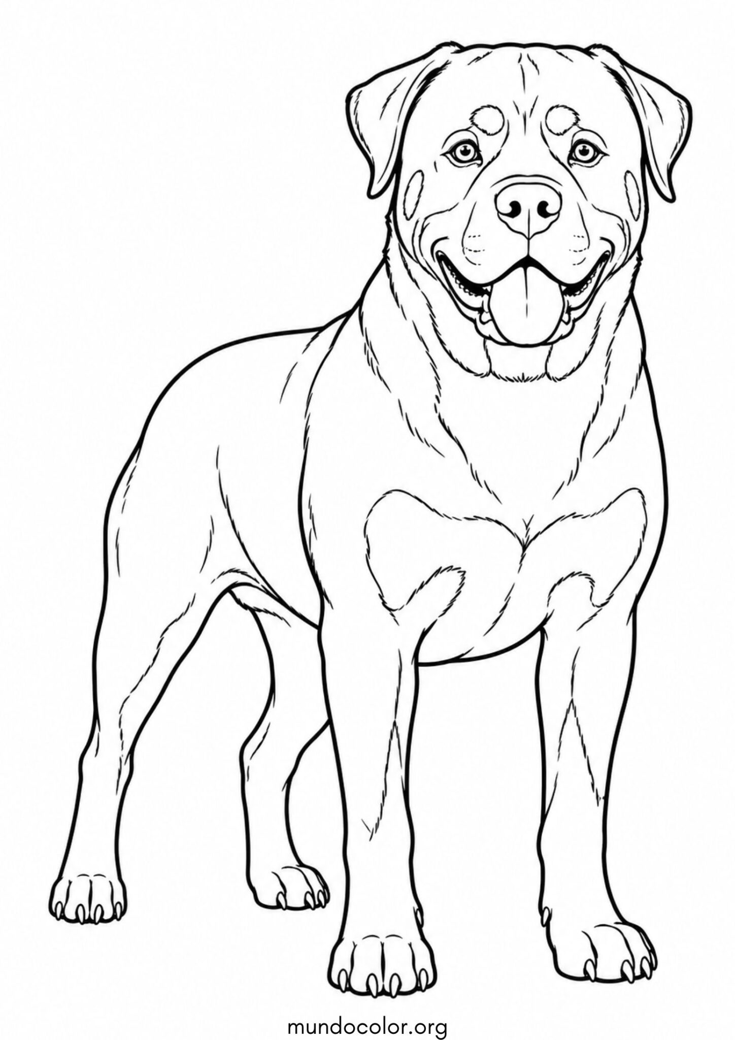 Dibujo de Perro Rottweiler para colorear