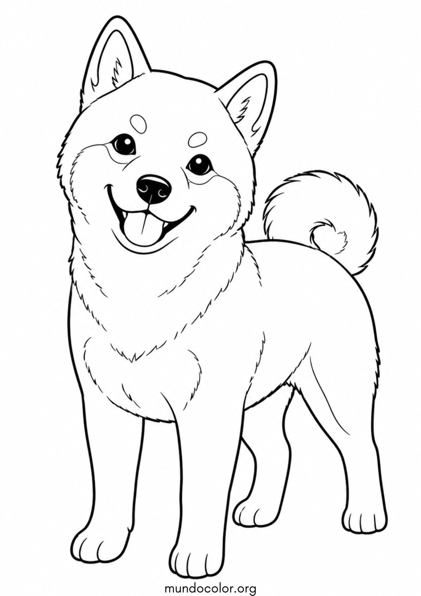 Dibujo de Perro Shiba Inu para colorear