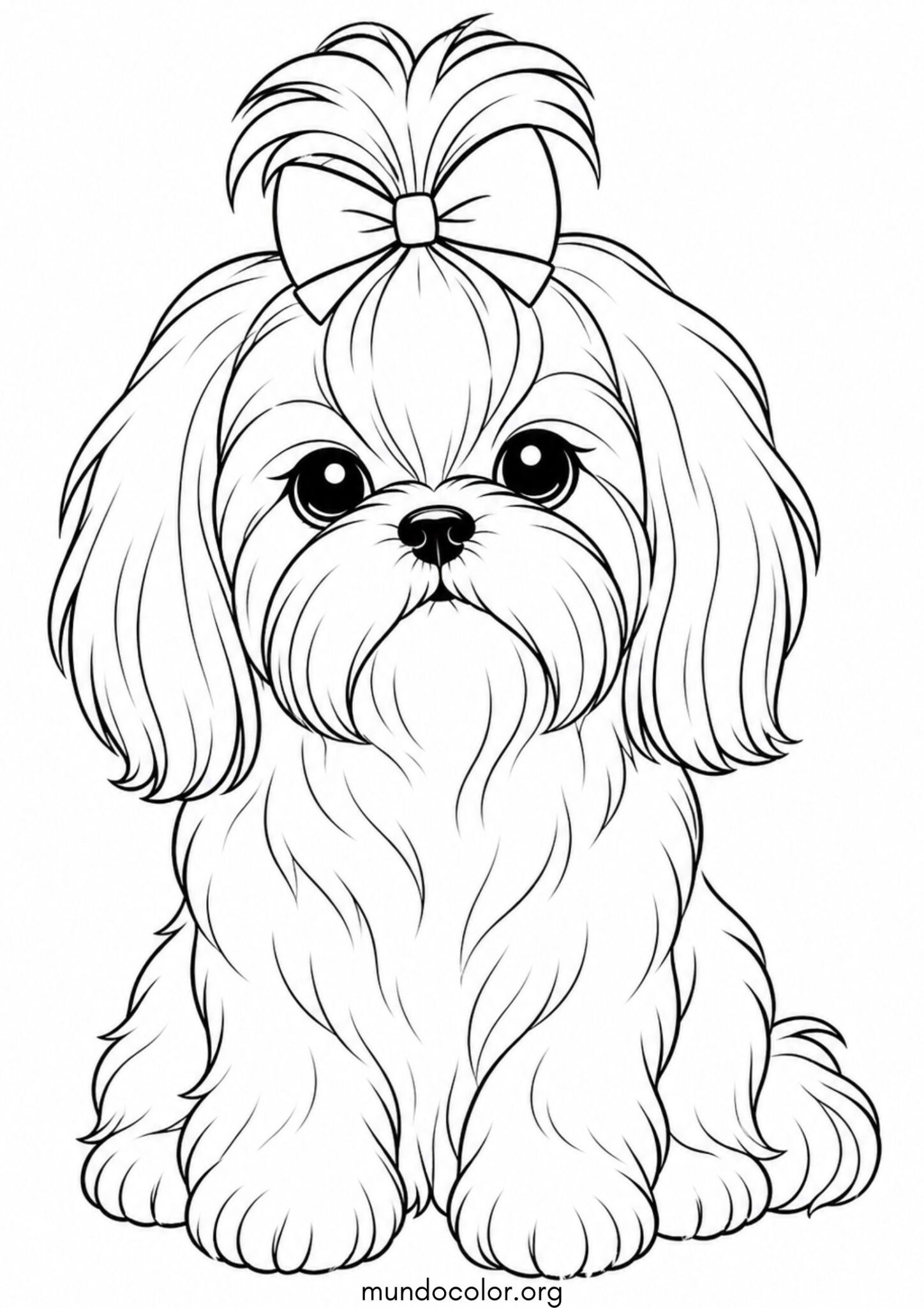 Dibujo de Perro Shih Tzu para colorear