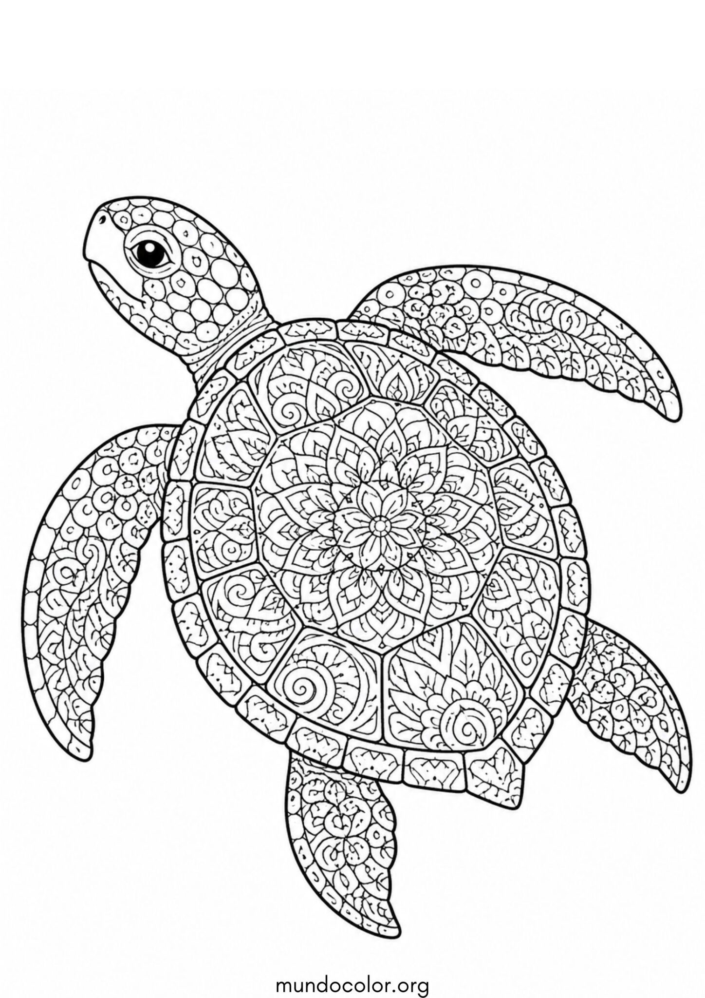 Dibujo de Tortuga mandala para colorear