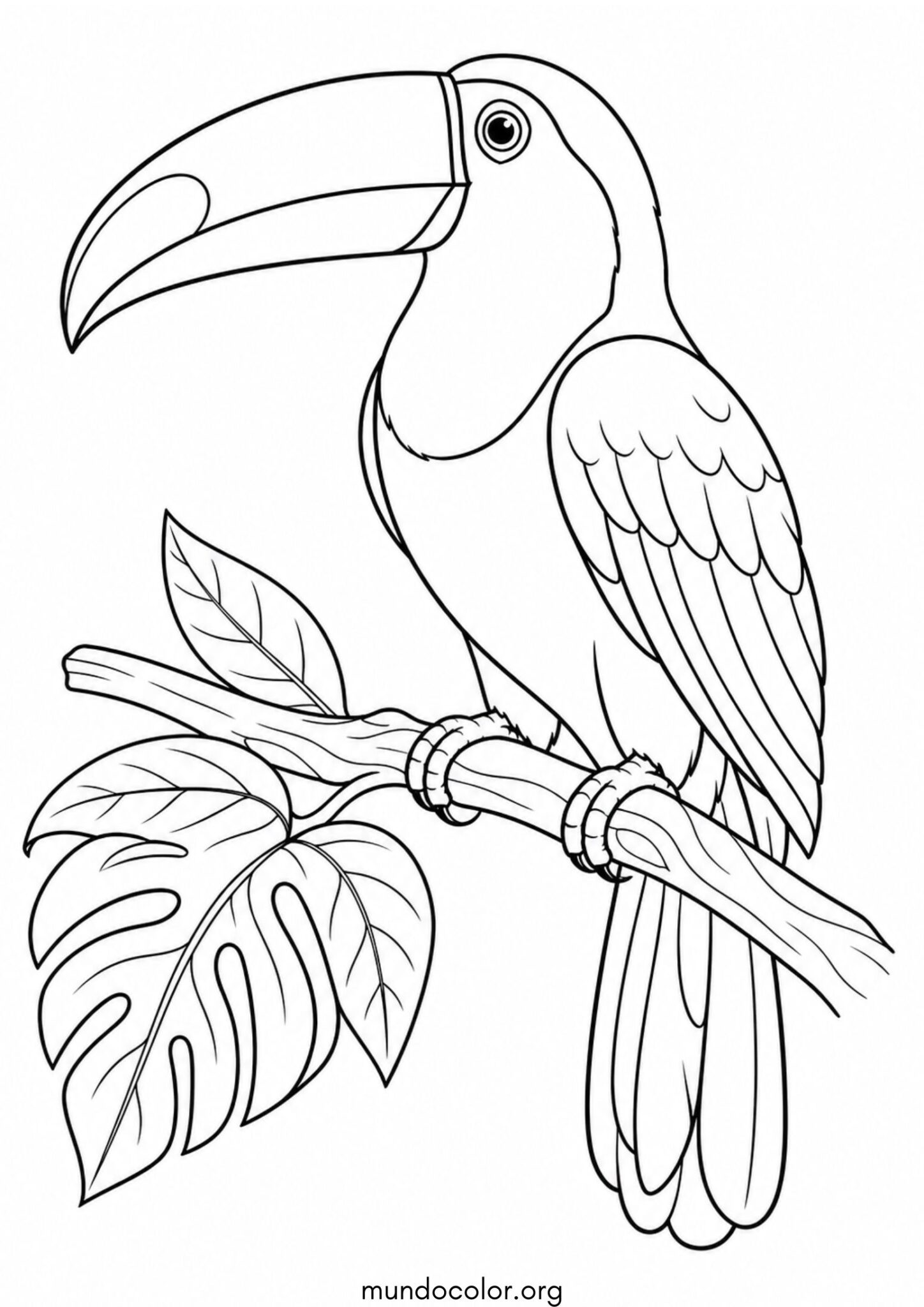 Dibujo de Tucán, ave tropical para colorear