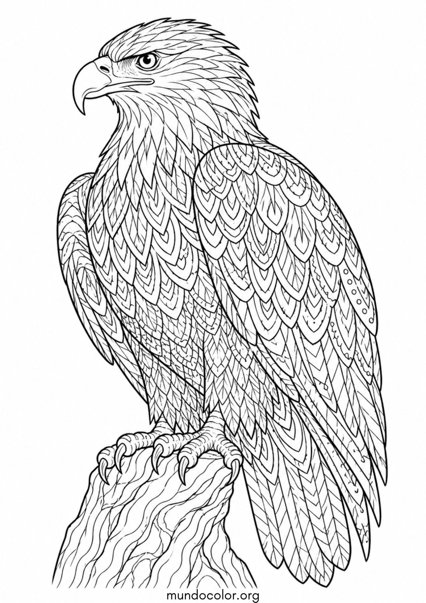 Dibujo de Águila antiestrés para colorear