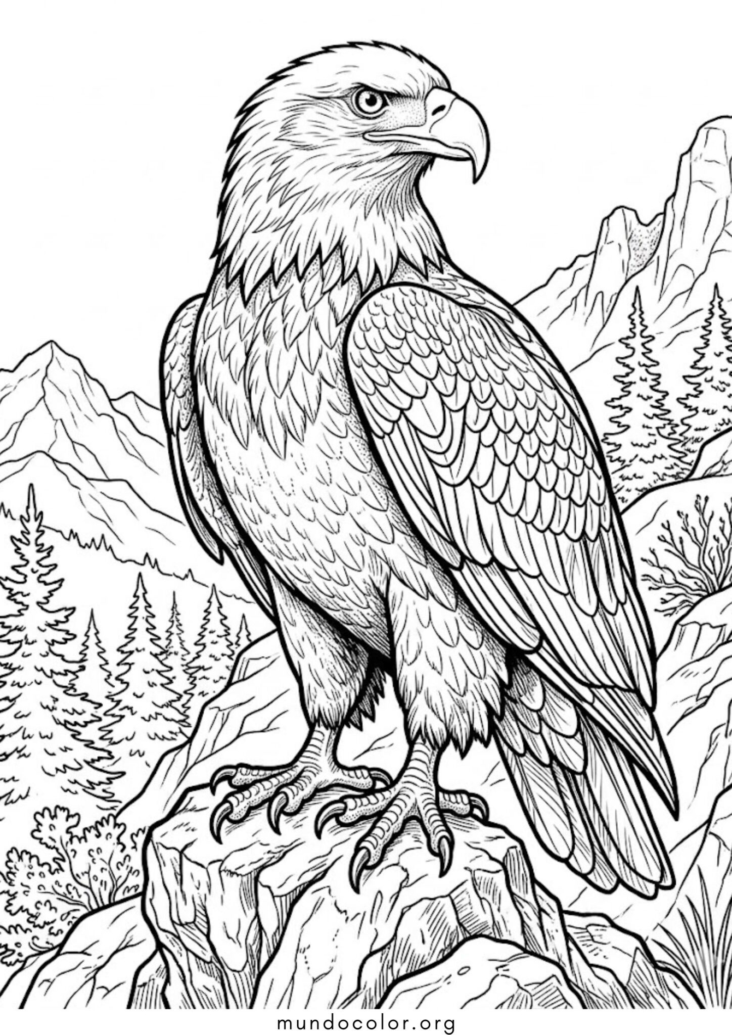 Dibujo de Águila majestuosa para colorear