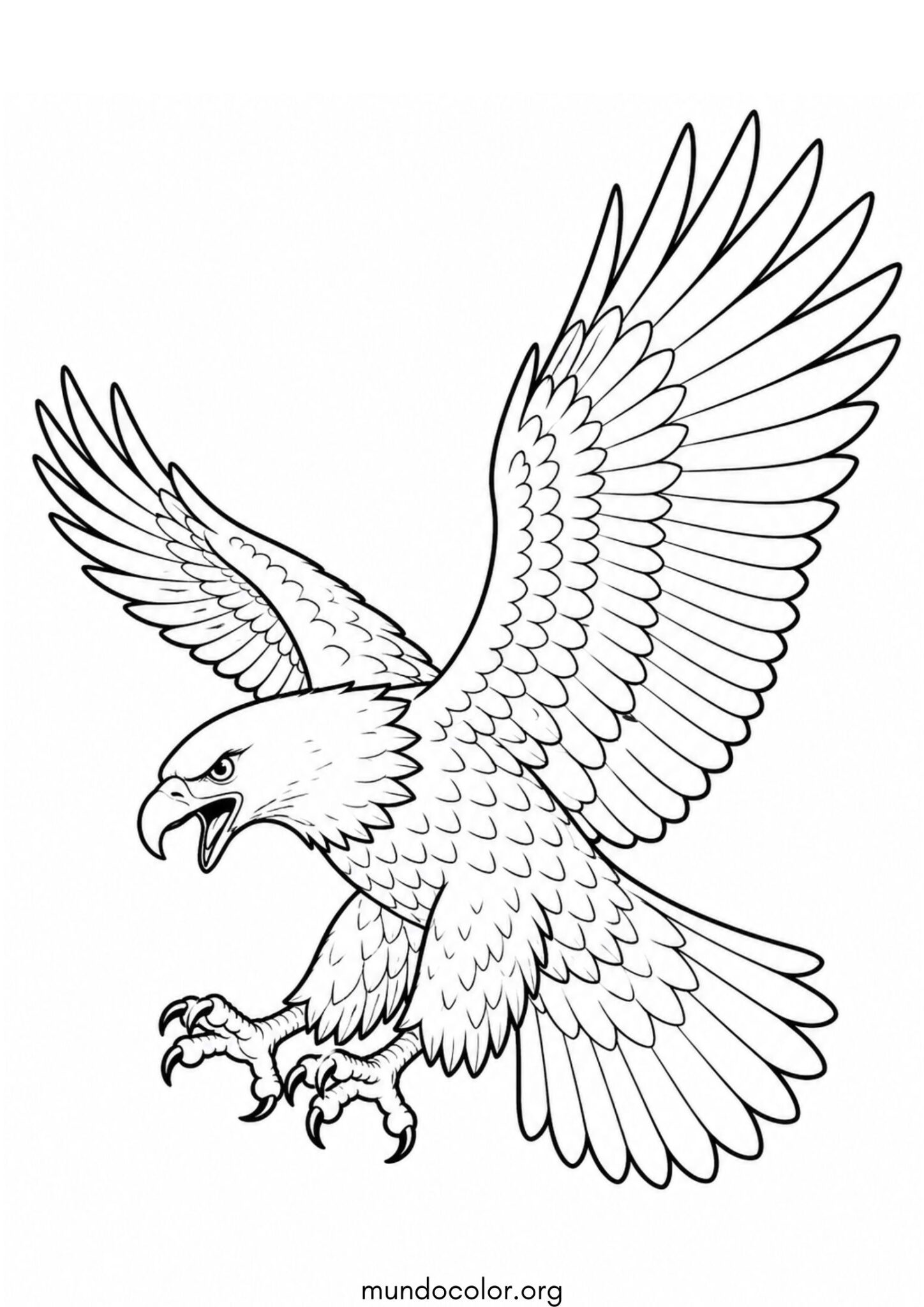 Dibujo de Águila para colorear