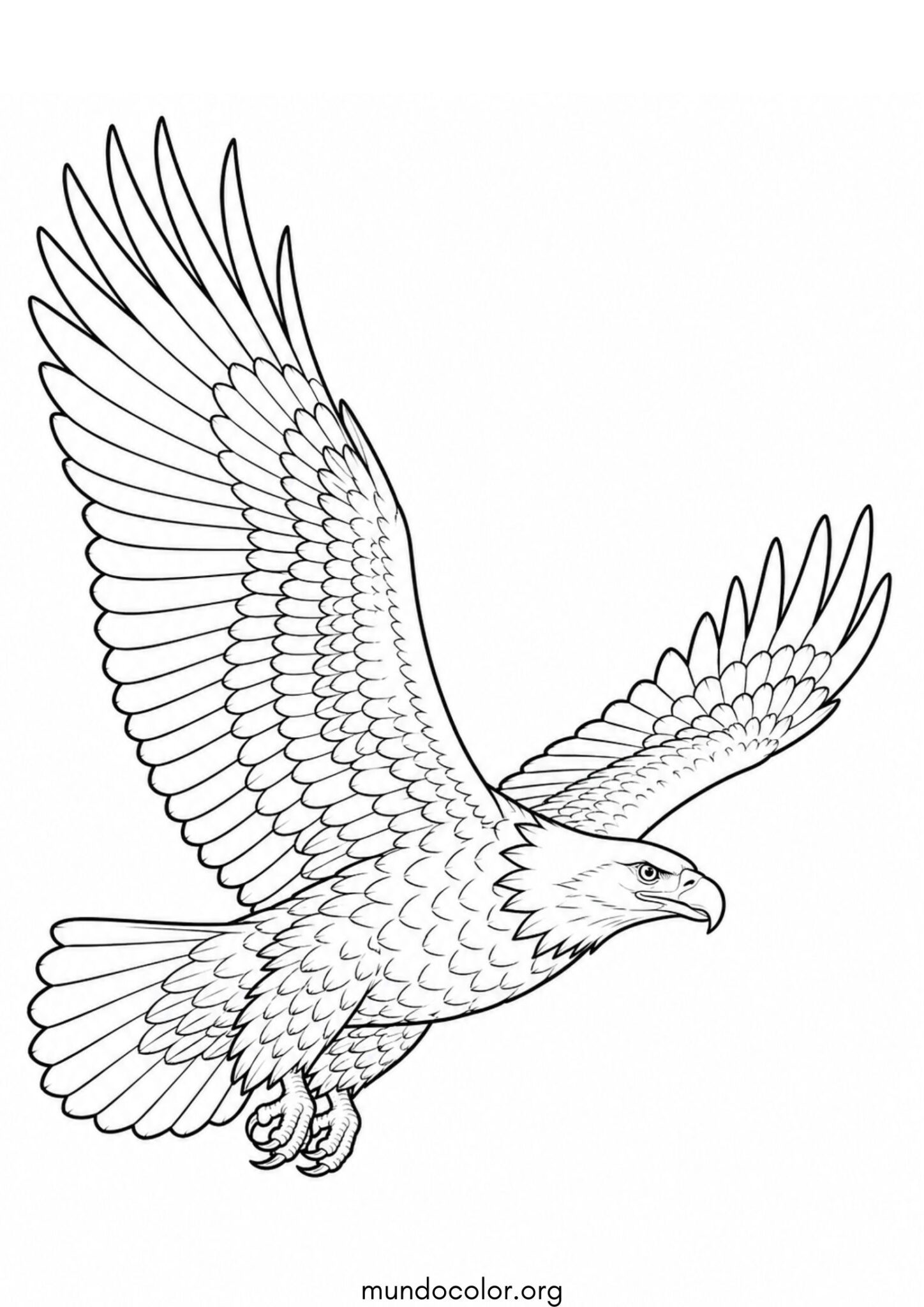 Dibujo de Águila volando para colorear