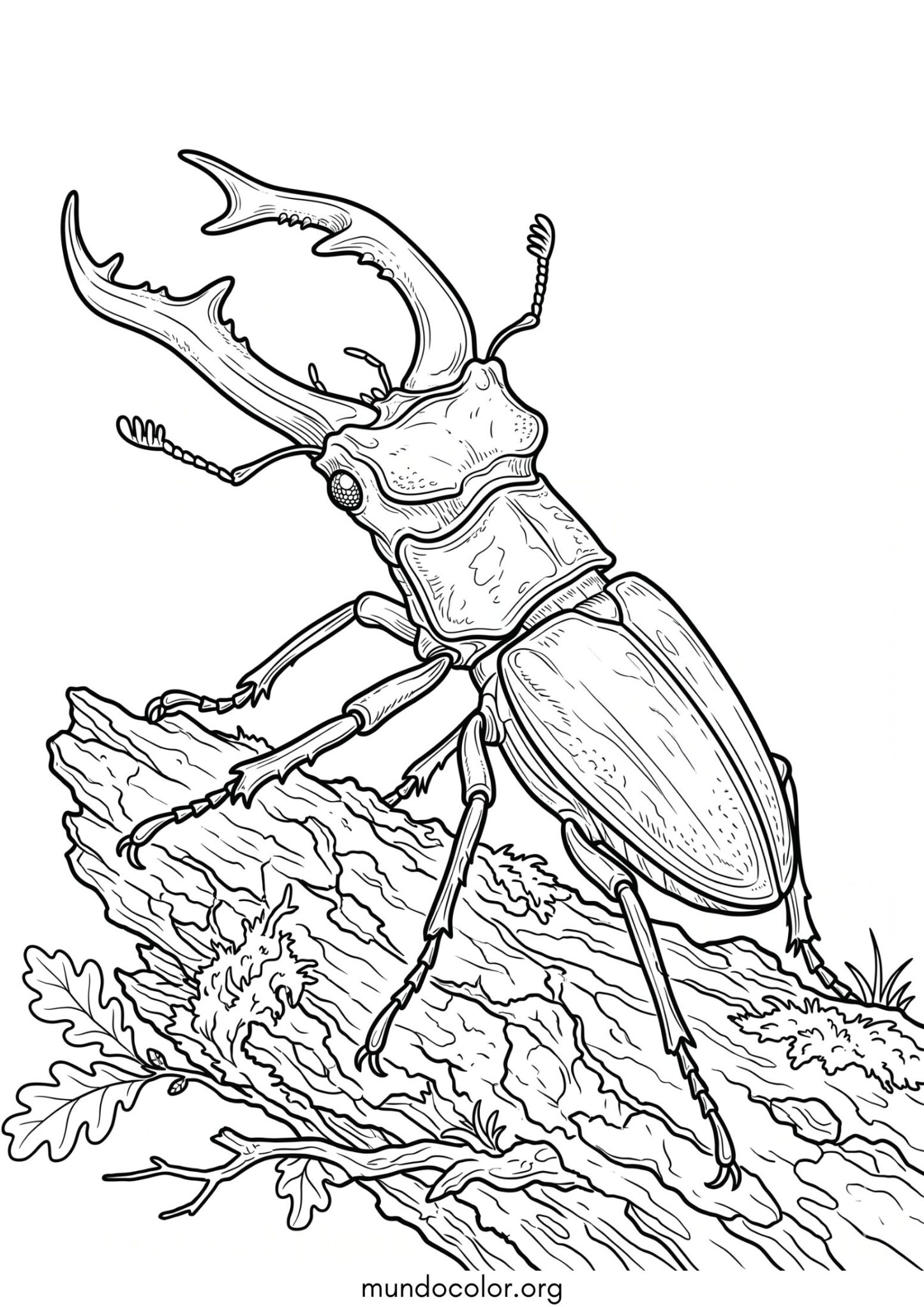 Dibujo de Escarabajo ciervo para imprimir Dibujo de Escarabajo ciervo para colorear
