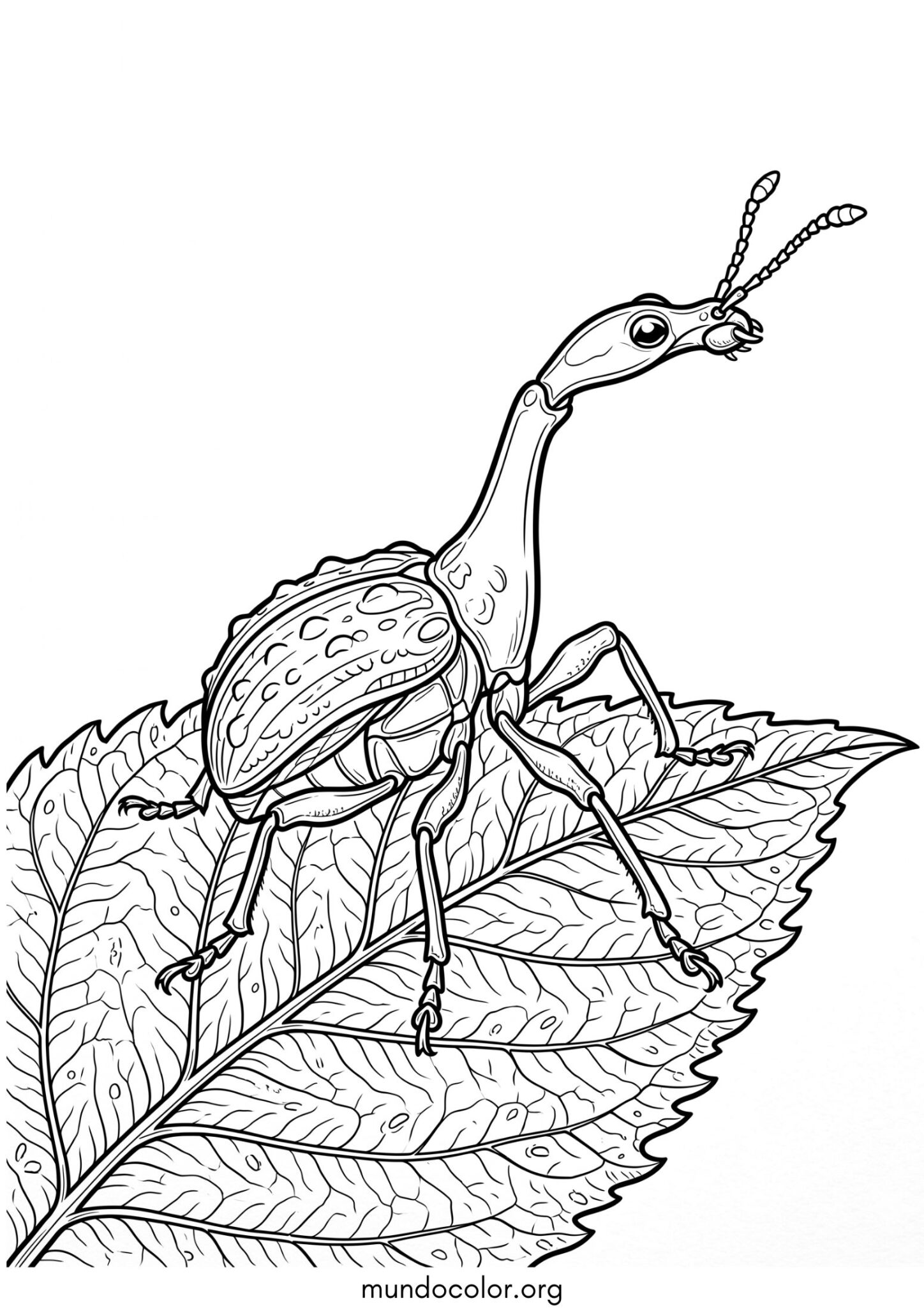 Dibujo de Escarabajo jirafa para imprimir Dibujo de Escarabajo jirafa para colorear