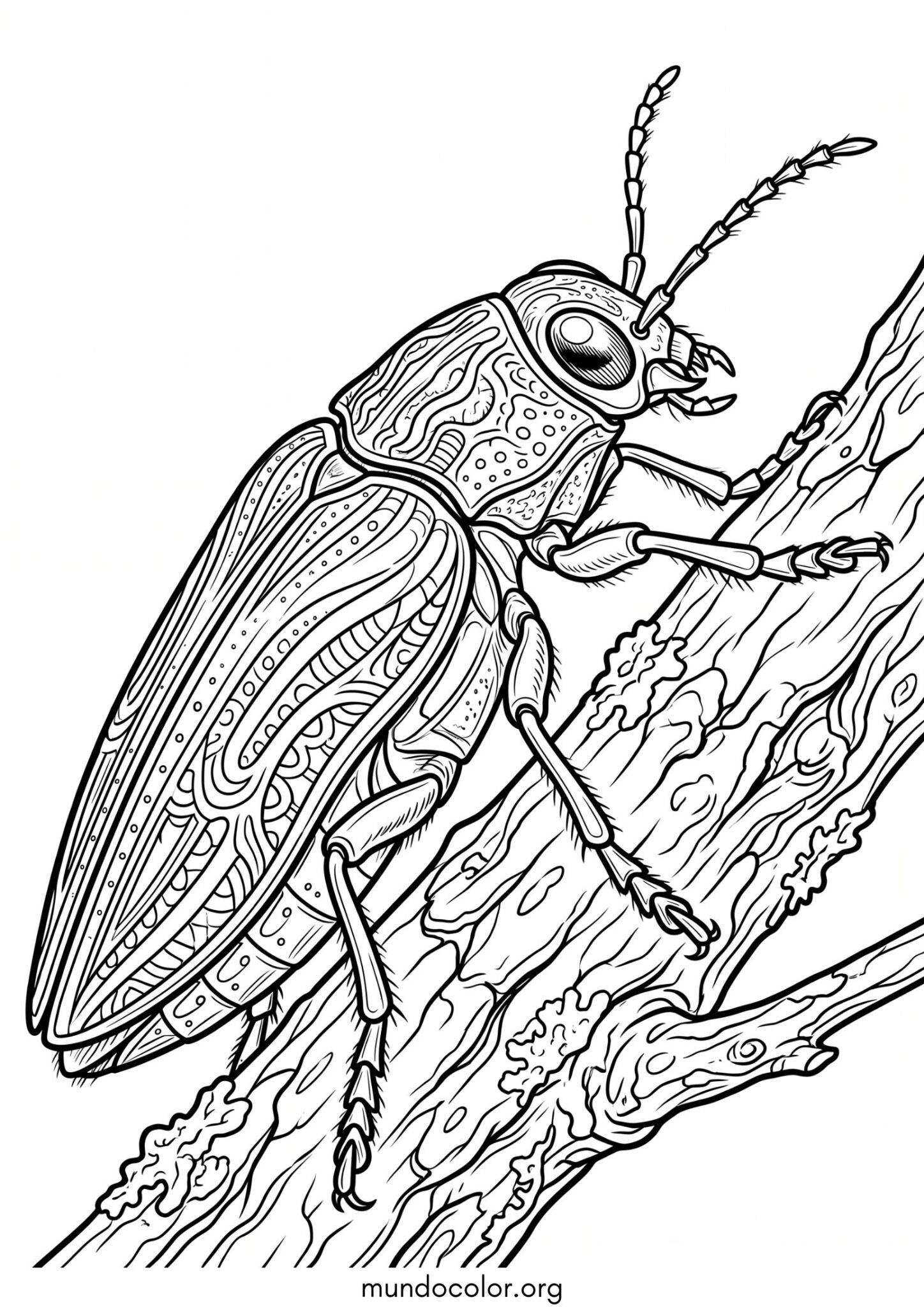 Dibujo de Escarabajo joya para imprimir Dibujo de Escarabajo joya para colorear