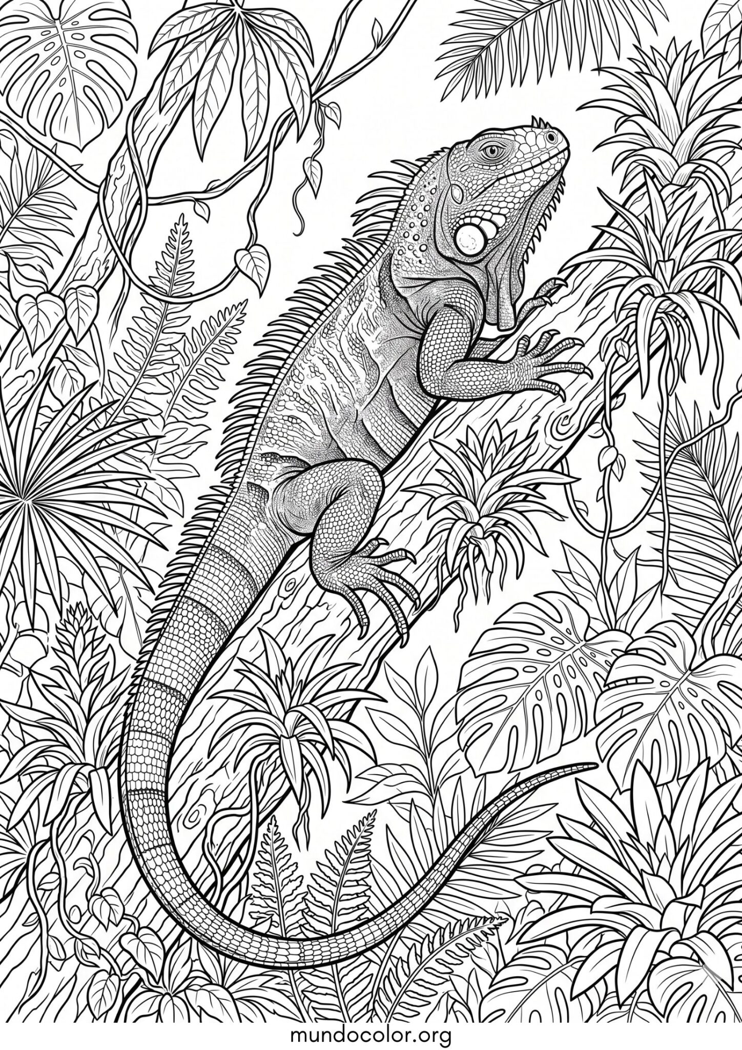 Dibujo de Iguana para colorear