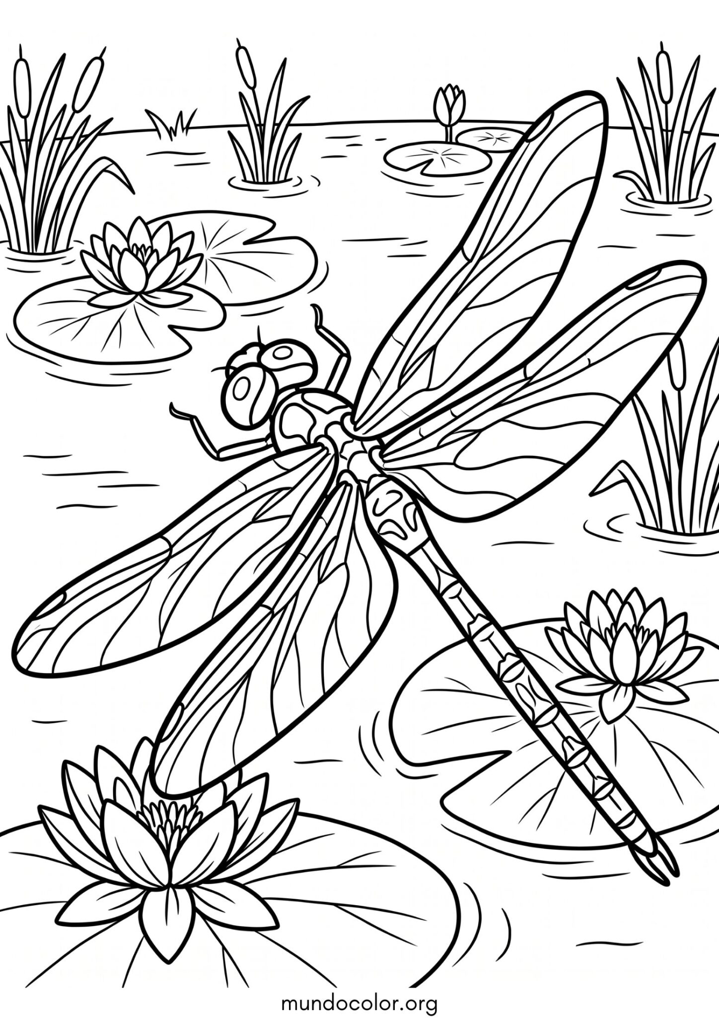 Dibujo de Libélula para imprimir Dibujo de Libélula para colorear