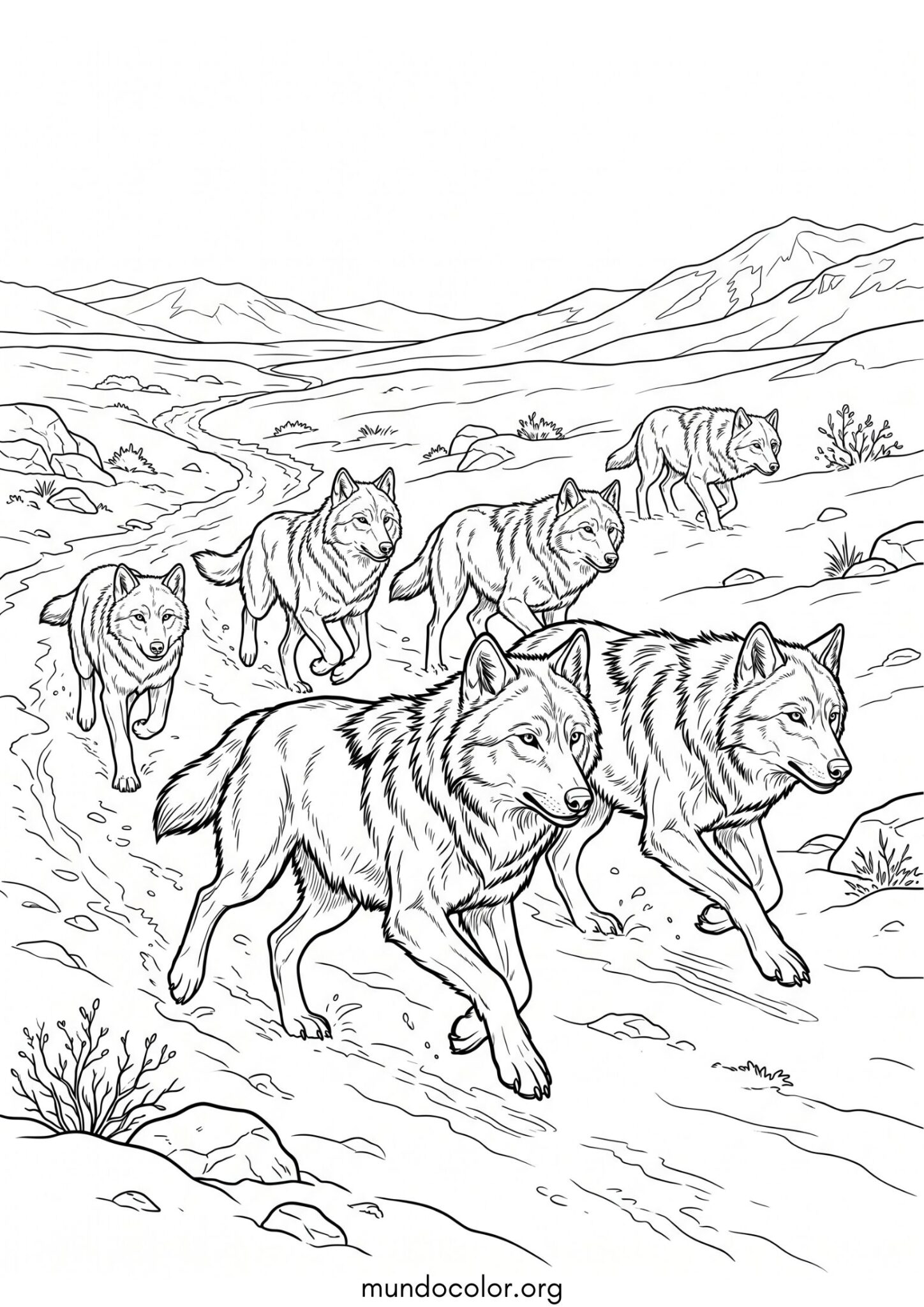 Dibujo de Manada de lobos corriendo para imprimir Dibujo de Manada de lobos corriendo para colorear