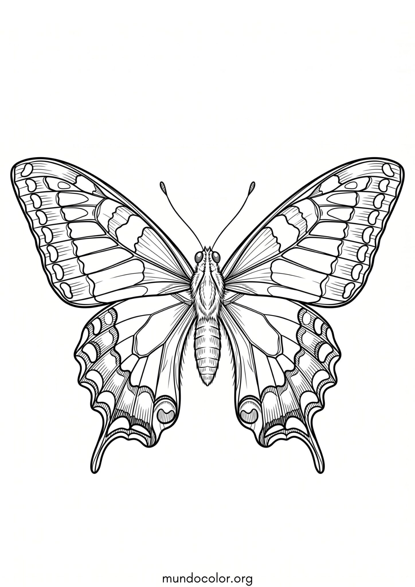 Dibujo de Mariposa cola de golondrina para imprimir Dibujo de Mariposa cola de golondrina para colorear