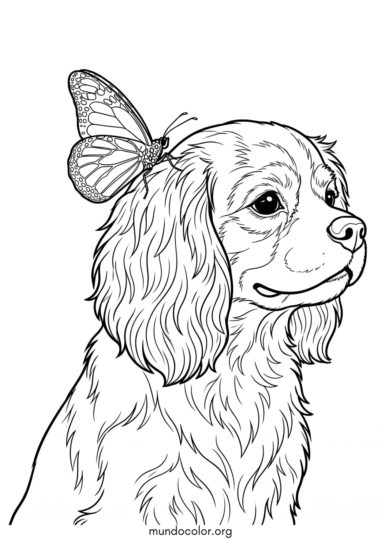 Dibujo de Mariposa en la oreja de un perro para imprimir Dibujo de Mariposa en la oreja de un perro para colorear