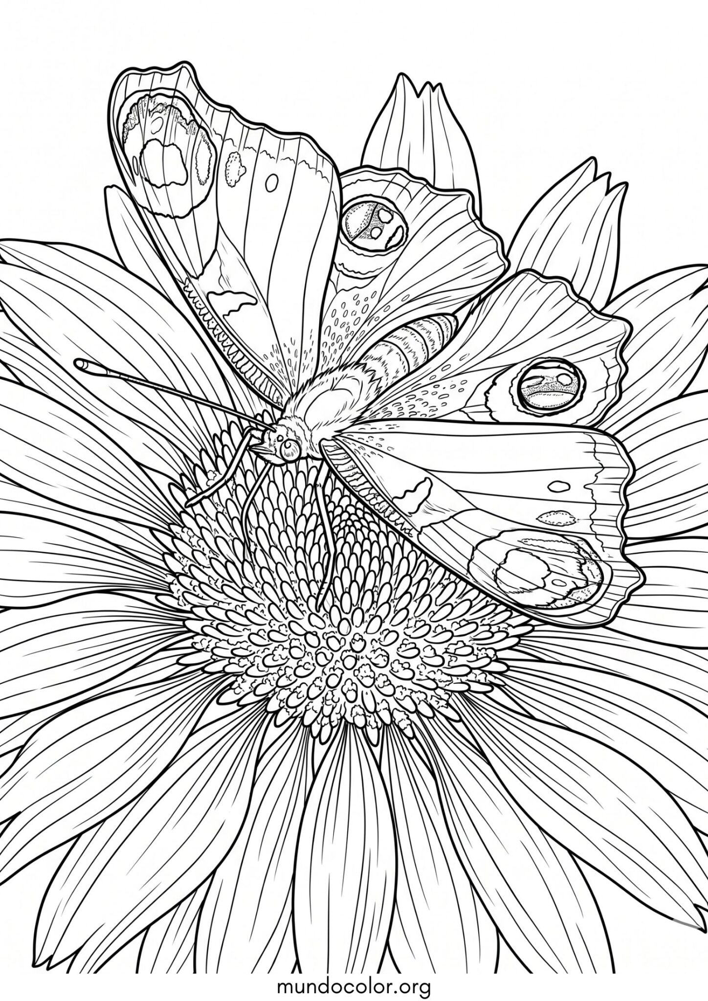 Dibujo de Mariposa en una flor para imprimir Dibujo de Mariposa en una flor para colorear