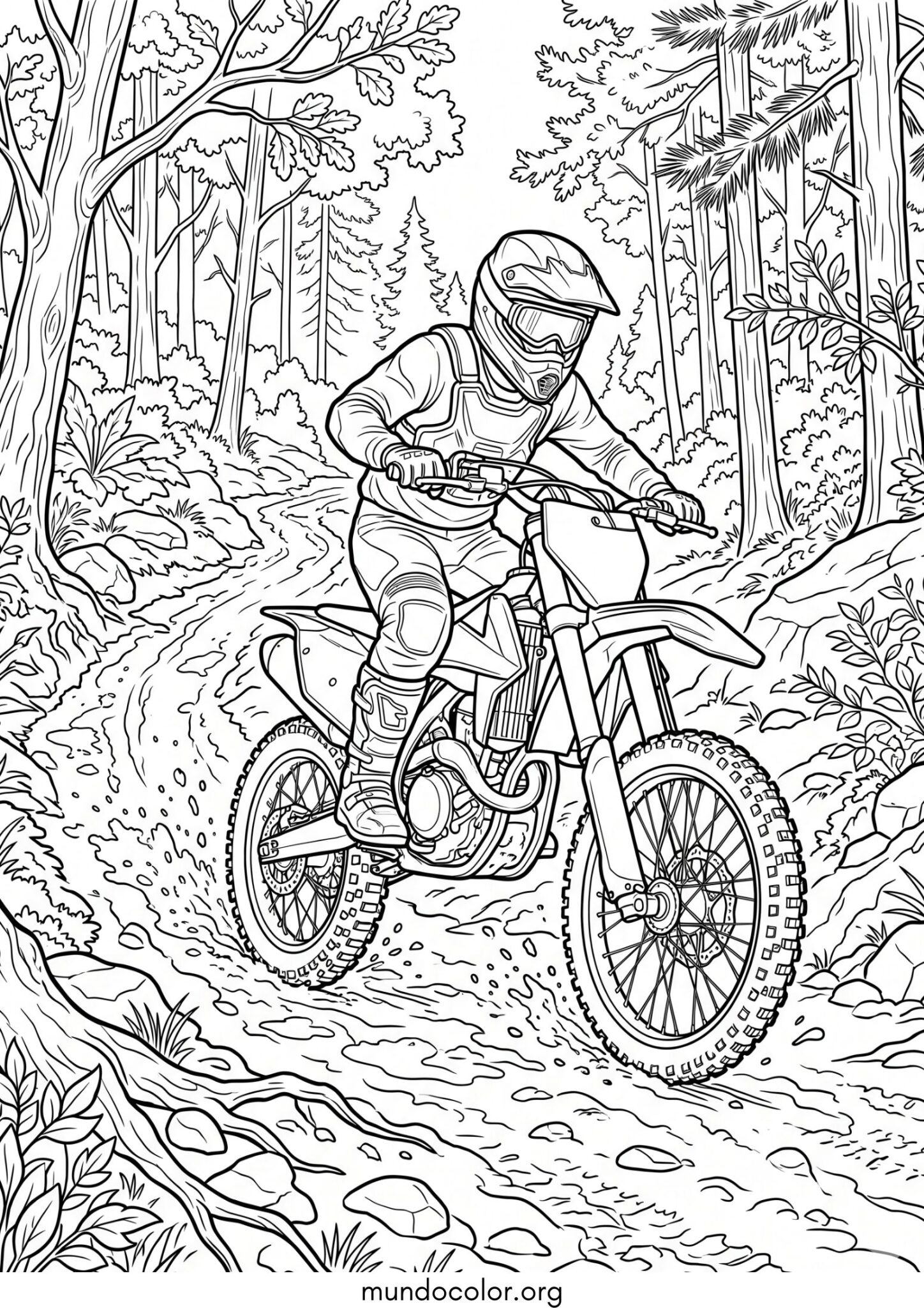 Dibujo de Moto de cross para colorear