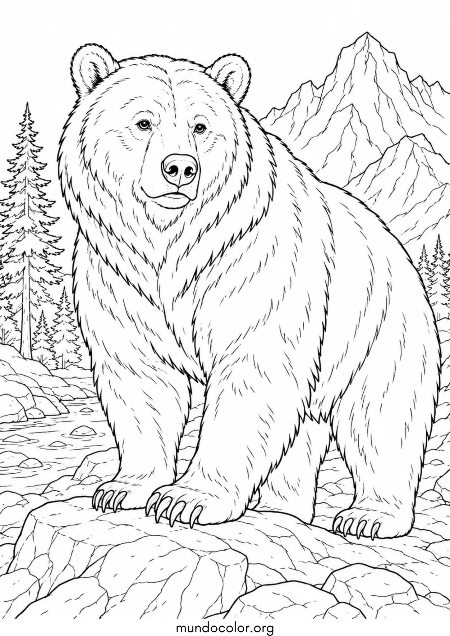 Dibujo de Oso grizzly para colorear