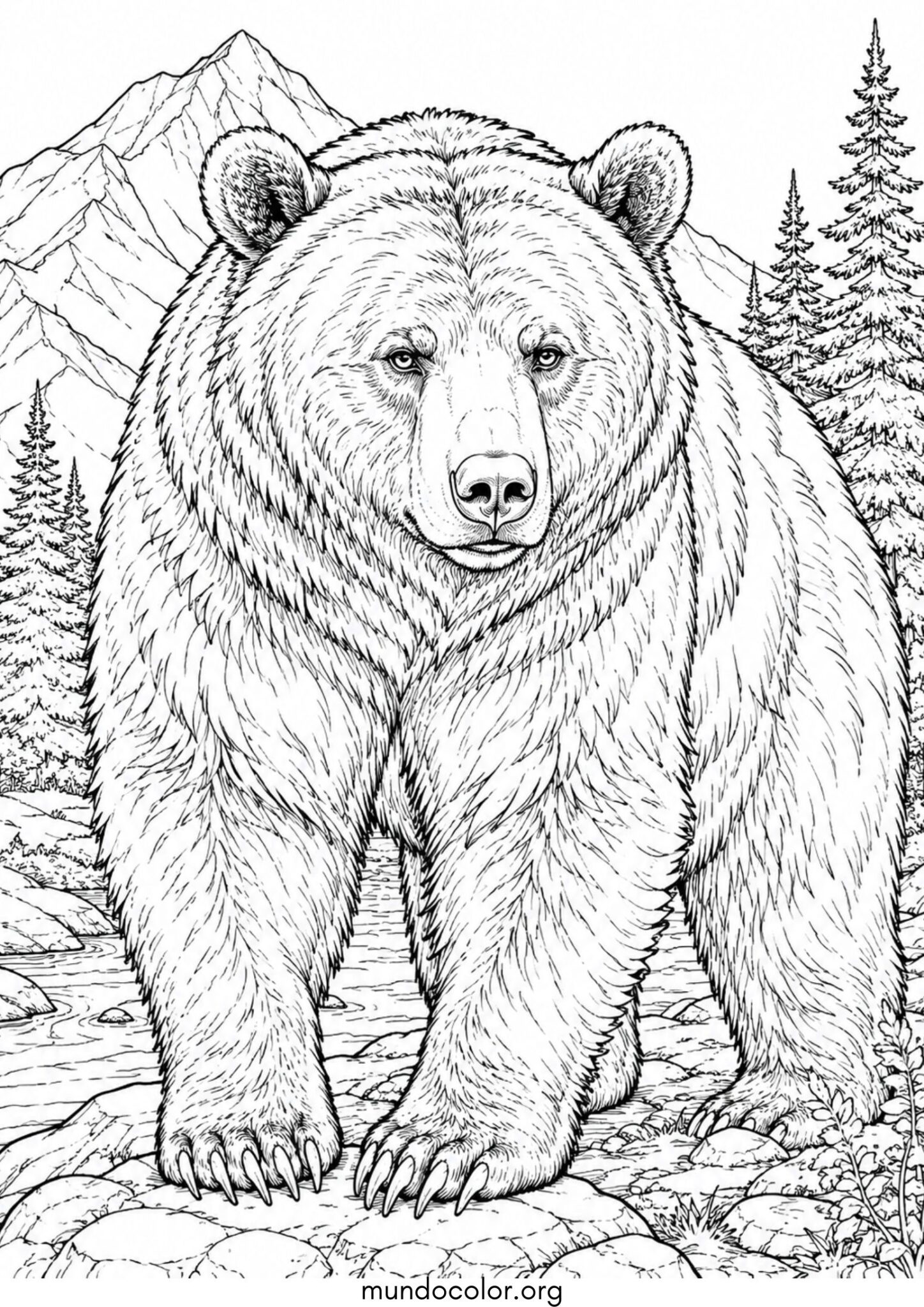 Dibujo de Oso pardo realista para imprimir Dibujo de Oso pardo realista para colorear