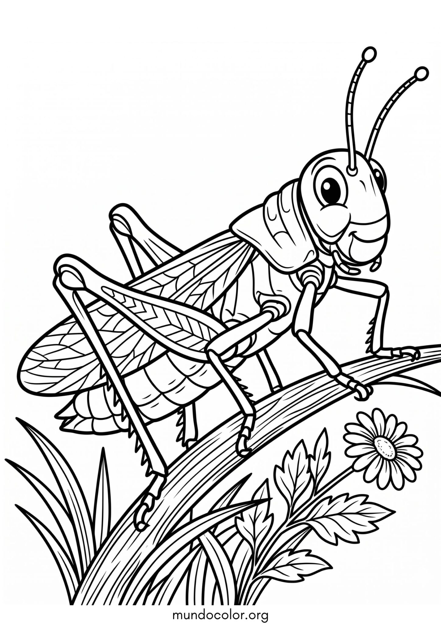 Dibujo de Saltamontes para imprimir Dibujo de Saltamontes para colorear
