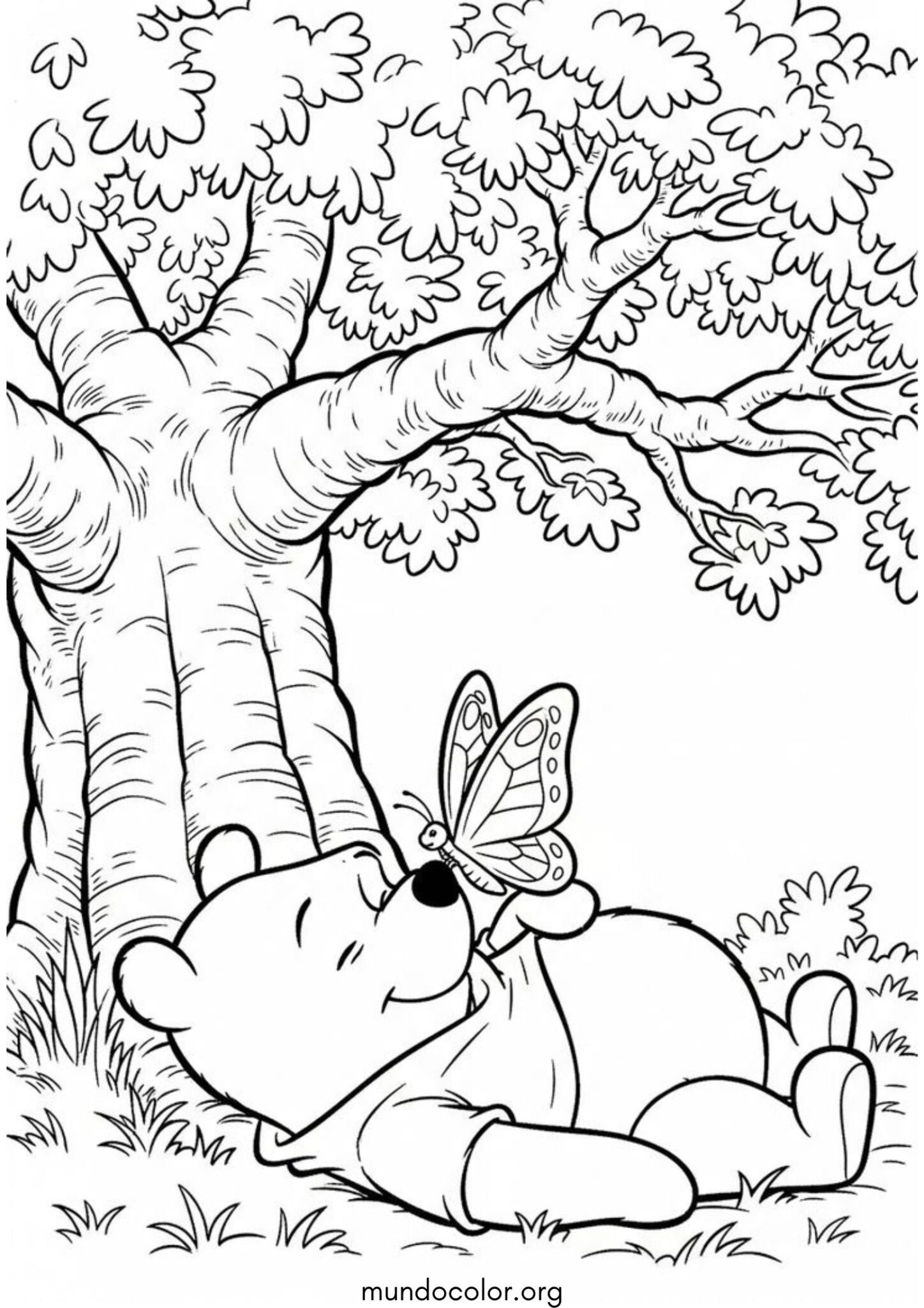 Dibujo de Winnie Pooh con una mariposa para colorear